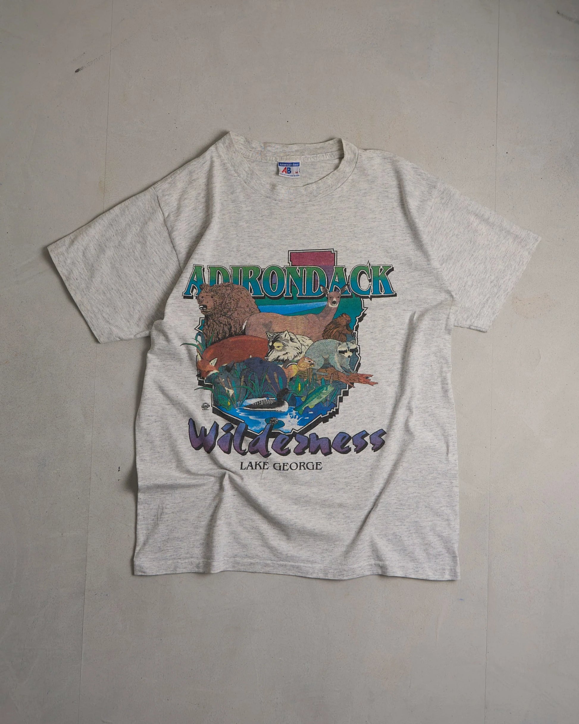 Adirondack Wilderness Graphic Single Stitch T-Shirt