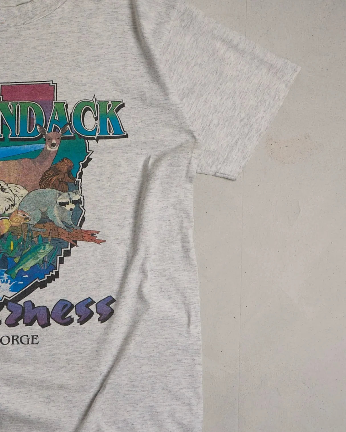 Adirondack Wilderness Graphic Single Stitch T-Shirt Right