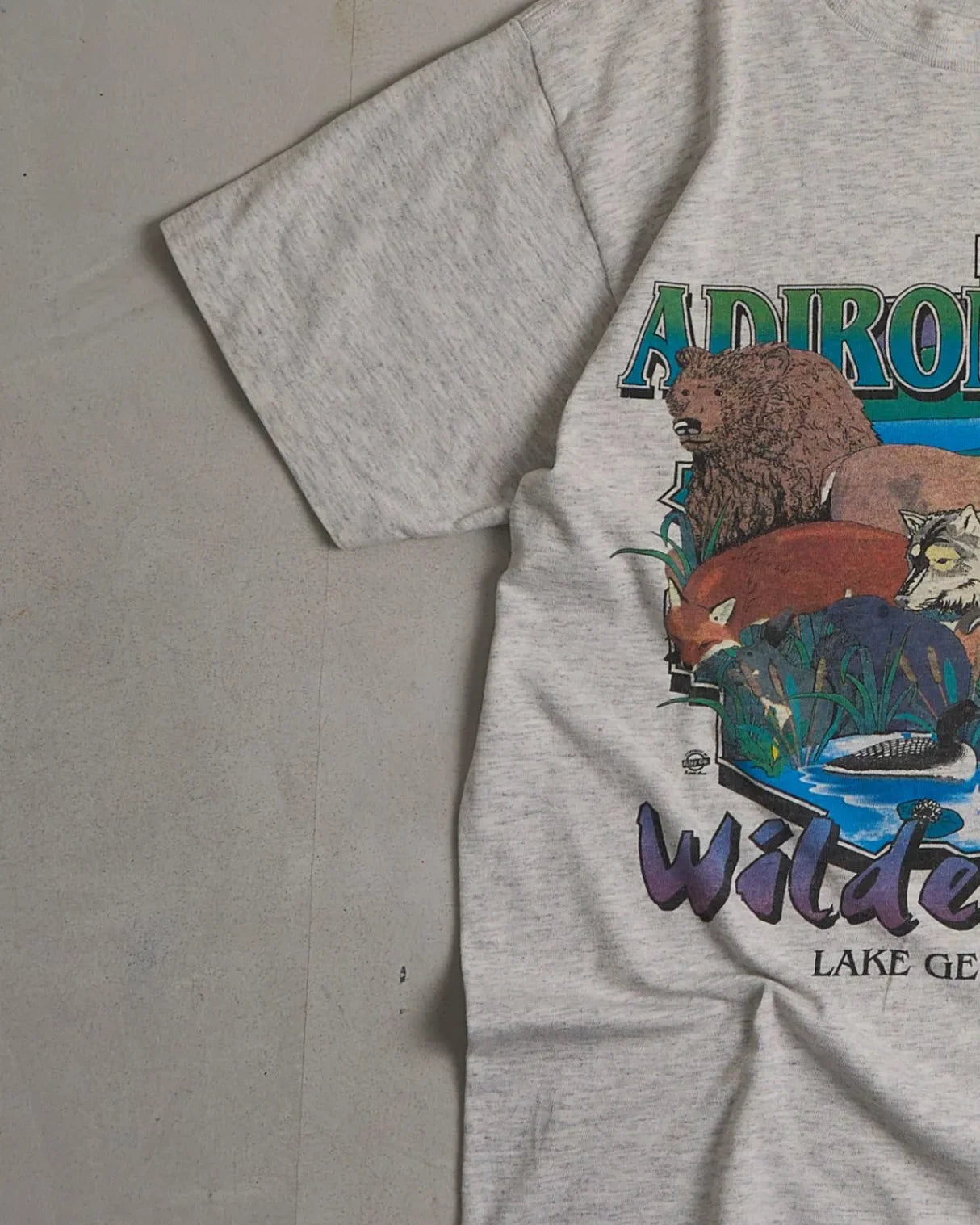 Adirondack Wilderness Graphic Single Stitch T-Shirt Left