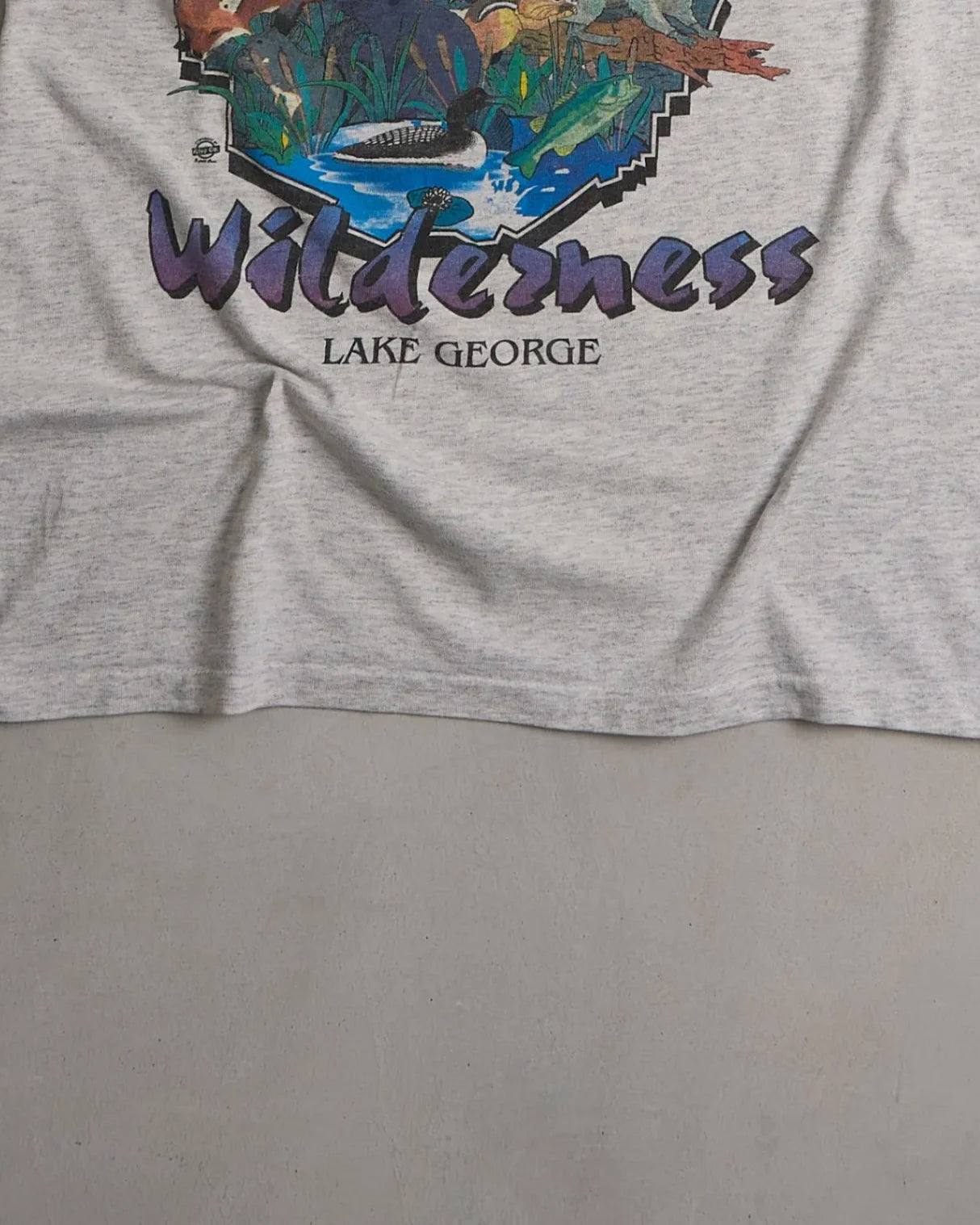 Adirondack Wilderness Graphic Single Stitch T-Shirt Bottom