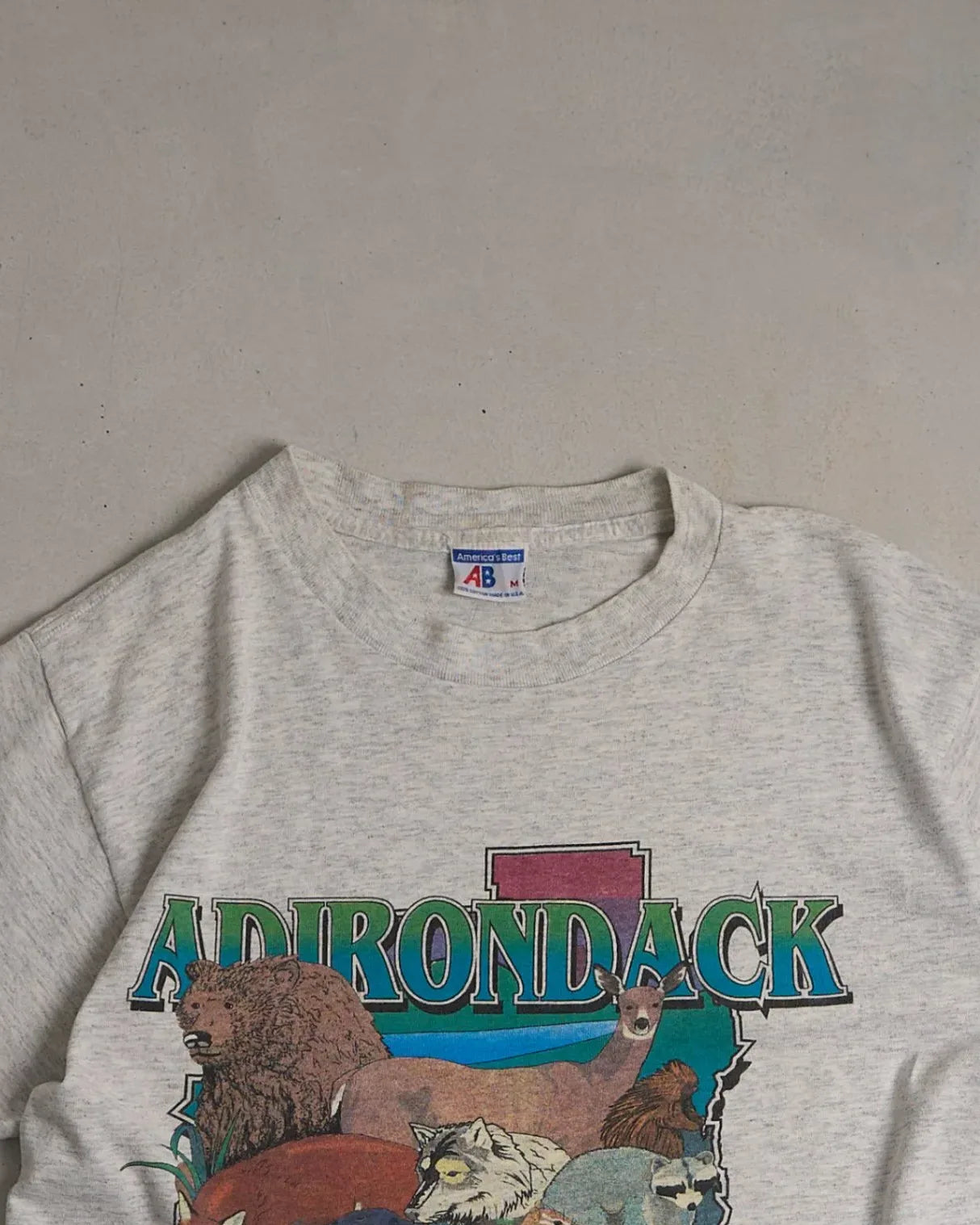 Adirondack Wilderness Graphic Single Stitch T-Shirt Top