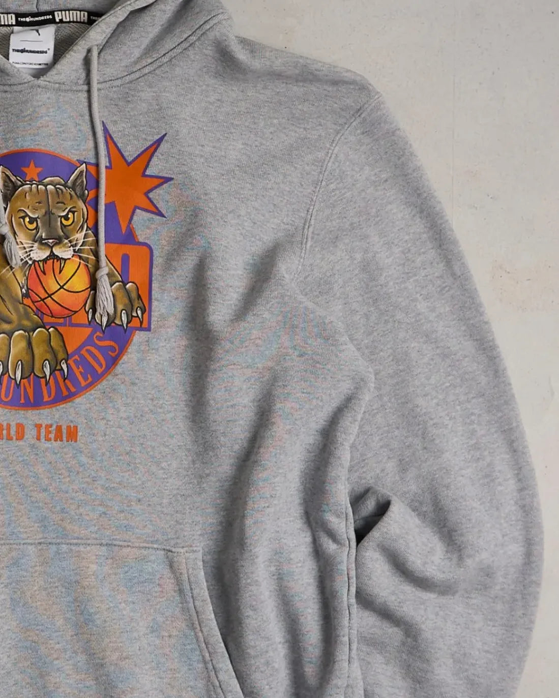 Vintage The Hundreds X Puma Hoodie Right